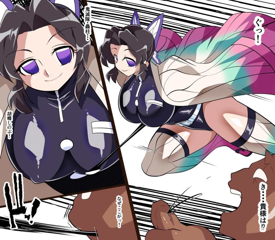 墜羽の蝶 1枚目