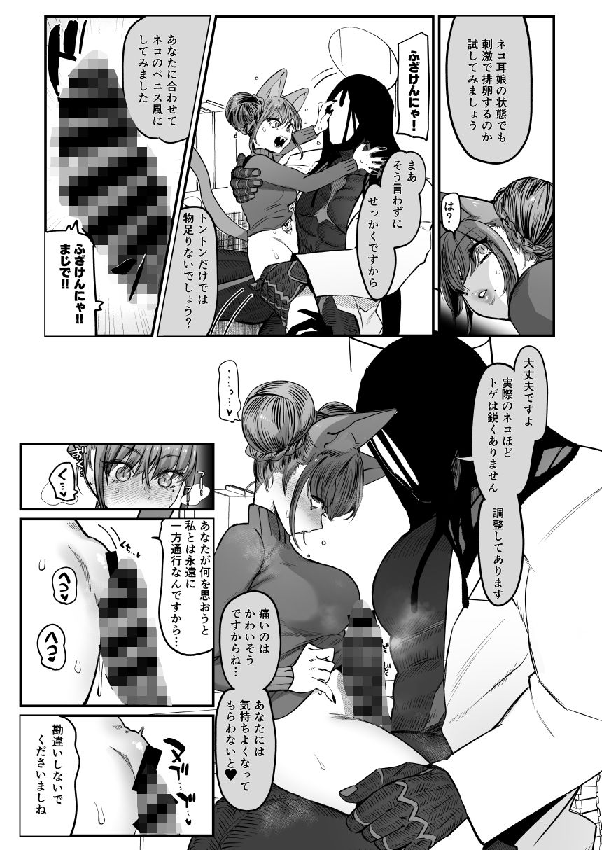 メスネコ！ランホアちゃん 2枚目